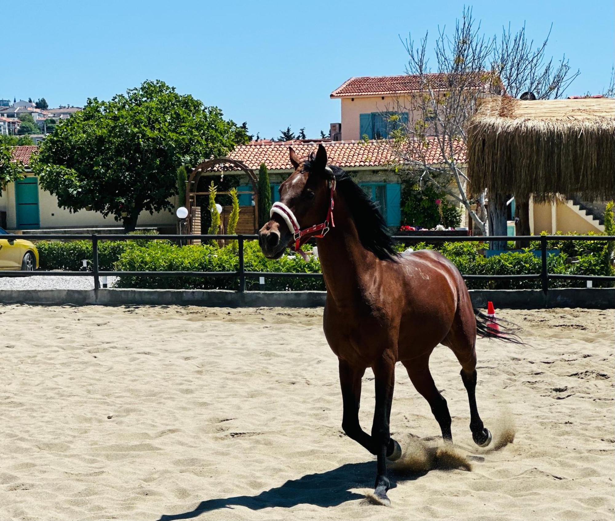 Ride And Stay Çeşme 외부 사진