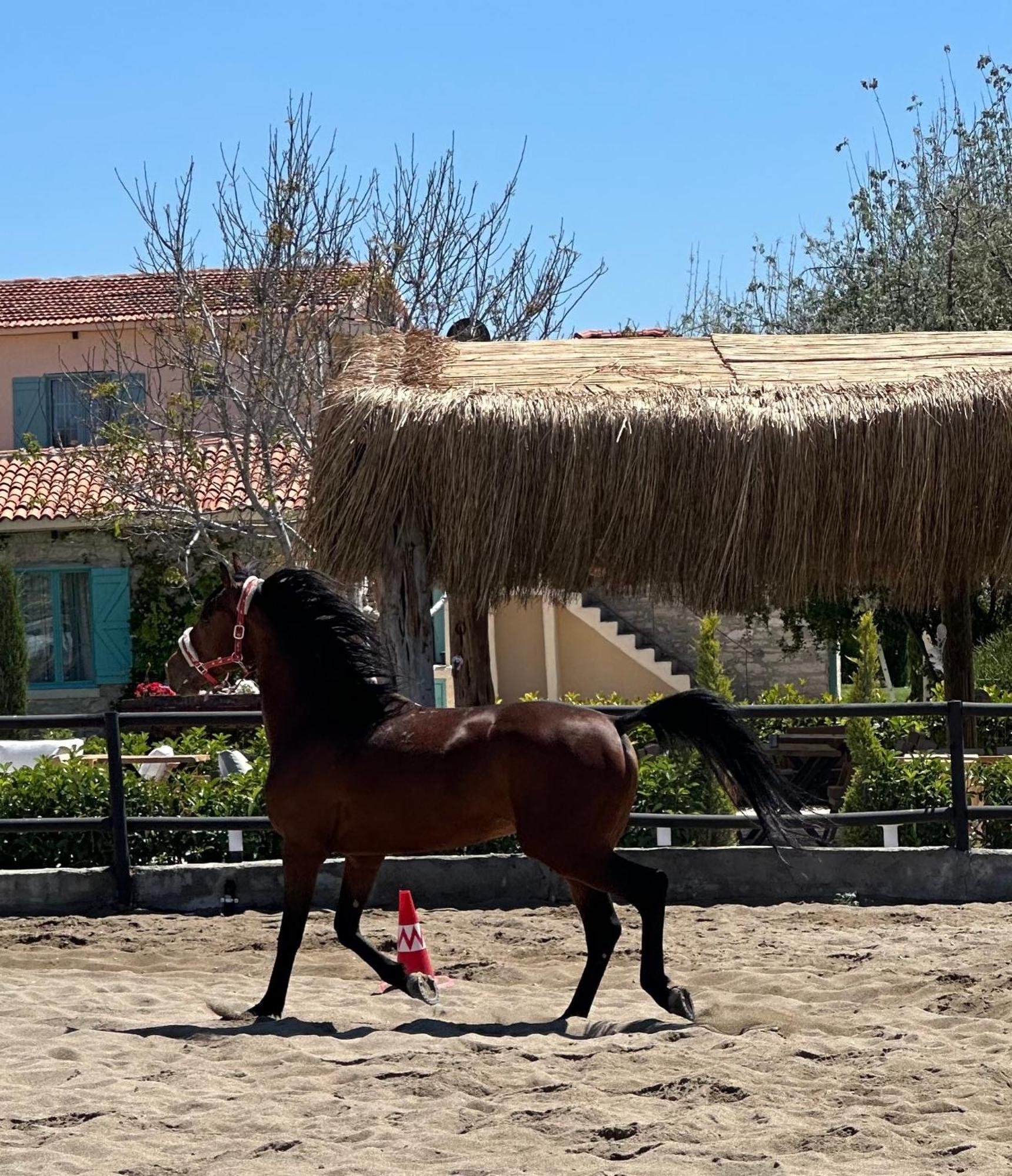 Ride And Stay Çeşme 외부 사진